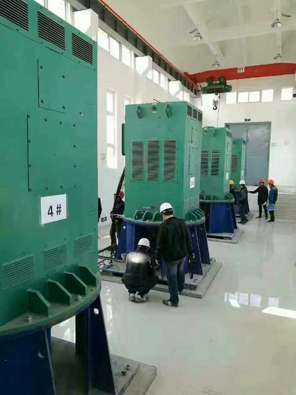 丹凤某污水处理厂使用我厂的立式高压电机安装现场